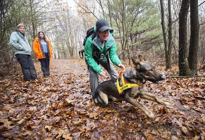 Successful dog rescue and rehabilitation in natural forest setting with IFAW team members